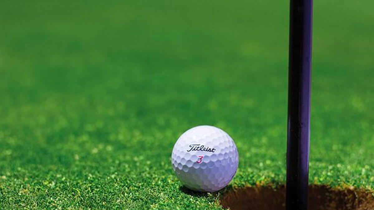 Millwood Landing Golf Course Image